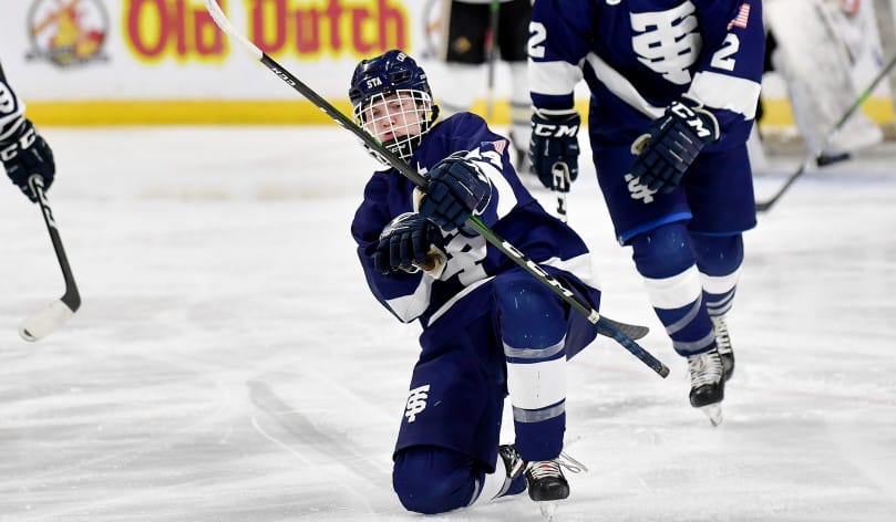 St. Thomas Academy forward Will Soderling (14) celebrates his goal against Andover in the second period of a Class 2A quarterfinal game of the State Boys' Hockey Tournament at Xcel Energy Center in St. Paul on Thursday, March 5, 2020. (John Autey / Pioneer Press)